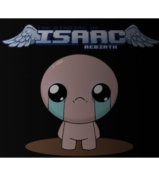 The Binding of Isaac: Rebirth Gift Steam Key GLOBAL
